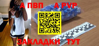 стаф Малгобек