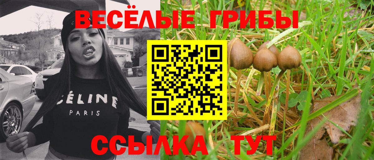 Галлюциногенные грибы мицелий Владикавказ