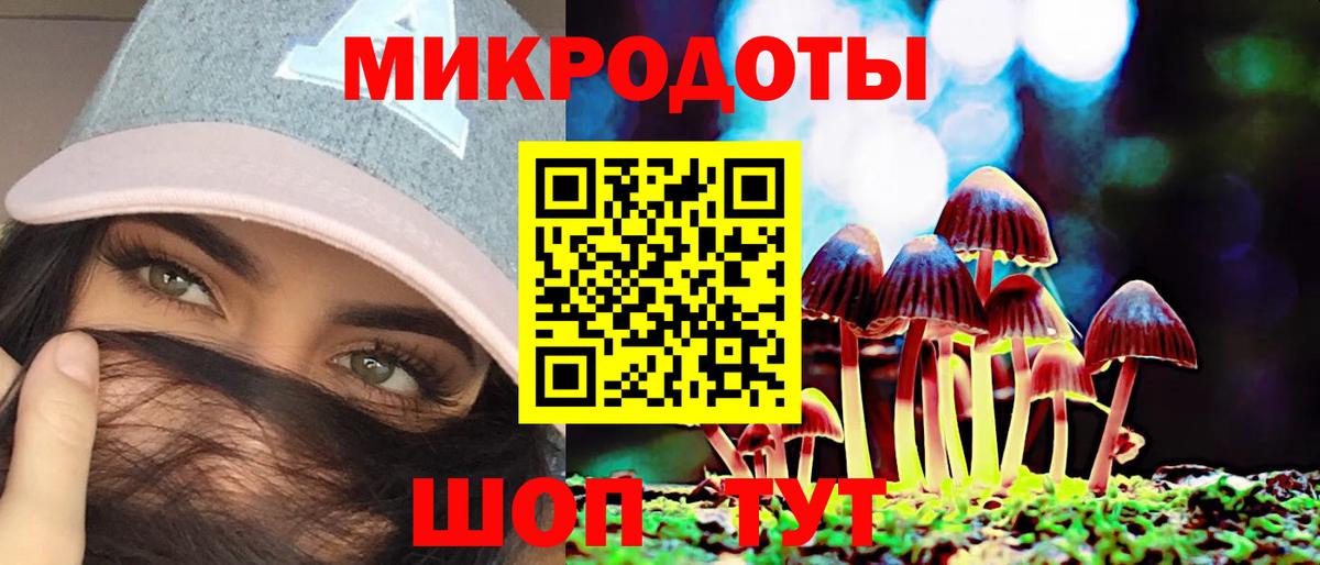 закладка  Псилоцибиновые грибы ЛСД  Владикавказ  Вход с VPN  Псилоцибиновые грибы Cubensis 